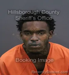 Mugshot of Taylor Coleman booked in Hillsborough County, Florida on August 28, 2026