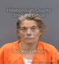 Mugshot of MELISSA DARLENE VOYLES
