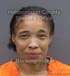 Mugshot of Shirlene Ann Livingston booked in Hillsborough County, Florida on August 28, 2026