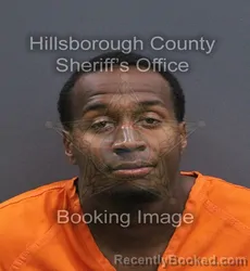 Mugshot of Anthony Earl Mckenzie Alexander booked in Hillsborough County, Florida on August 28, 2026