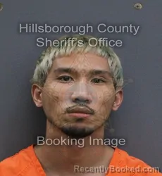 Mugshot of Giang Truong Chau booked in Hillsborough County, Florida on August 28, 2026