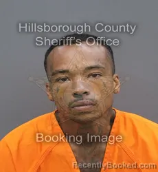 Mugshot of Malik Zaire Hatcher booked in Hillsborough County, Florida on August 28, 2026