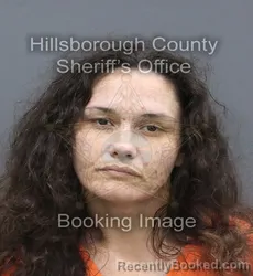 Mugshot of Ashley Jayne Mccabe booked in Hillsborough County, Florida on August 28, 2026