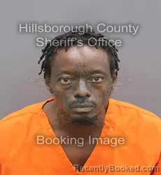 Mugshot of Michael Murray J Turner booked in Hillsborough County, Florida on August 28, 2026