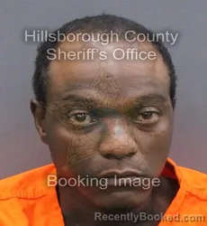 Mugshot of Dwayne Sedrick Jr Bryant booked in Hillsborough County, Florida on August 28, 2026
