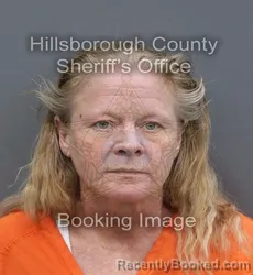 Mugshot of Nicole Ann Gordon booked in Hillsborough County, Florida on August 28, 2026