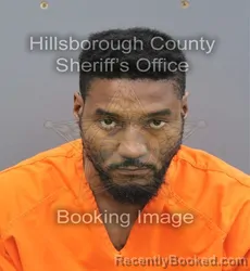 Mugshot of Jahmere Amonte Webb booked in Hillsborough County, Florida on August 28, 2026