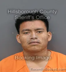 Mugshot of Jaime Estuardo Poou Calel booked in Hillsborough County, Florida on August 28, 2026