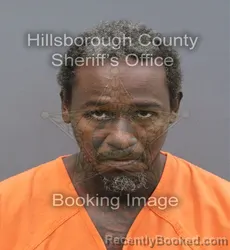 Mugshot of Derrick Knott booked in Hillsborough County, Florida on August 28, 2026