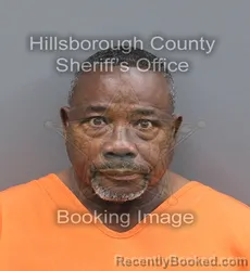 Mugshot of James Bernard Cason booked in Hillsborough County, Florida on August 28, 2026