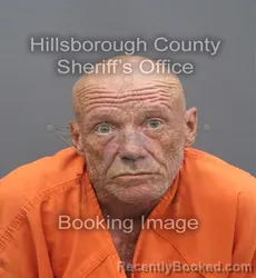 Mugshot of David Worthington Gofton booked in Hillsborough County, Florida on August 28, 2026
