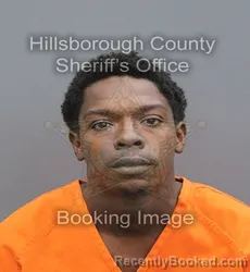 Mugshot of Dawayne Shykeem Hearns booked in Hillsborough County, Florida on August 28, 2026