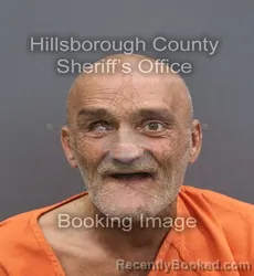 Mugshot of Thomas Kelly Bolduc booked in Hillsborough County, Florida on August 28, 2026