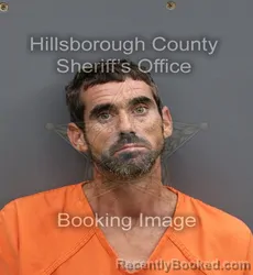 Mugshot of Kevin William Nork booked in Hillsborough County, Florida on August 28, 2026