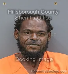 Mugshot of Derek Antonio Brown booked in Hillsborough County, Florida on August 28, 2026