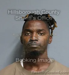 Mugshot of Darryl Earl Jr Young booked in Hillsborough County, Florida on August 28, 2026