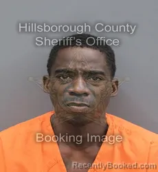 Mugshot of Michael Michelle Harvey booked in Hillsborough County, Florida on August 28, 2026