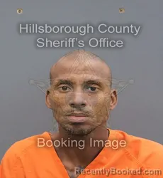 Mugshot of Rudolph Lee Rouse booked in Hillsborough County, Florida on August 28, 2026