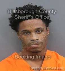 Mugshot of Amori Wanell Smith booked in Hillsborough County, Florida on August 28, 2026
