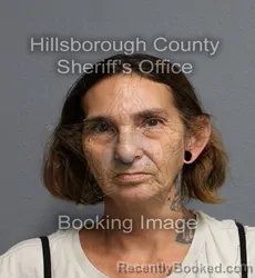 Mugshot of April Joy Tate booked in Hillsborough County, Florida on August 28, 2026