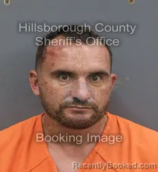 Mugshot of James A Cox booked in Hillsborough County, Florida on August 28, 2026