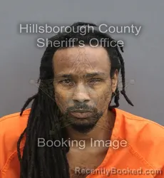 Mugshot of Kevin Sherwin Passee booked in Hillsborough County, Florida on August 28, 2026