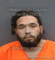 Mugshot of Daniel Jr Rosario booked in Hillsborough County, Florida on August 28, 2026