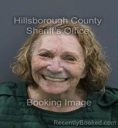 Mugshot of Elizabeth Cristina Otiniano booked in Hillsborough County, Florida on August 28, 2026