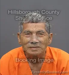 Mugshot of Wang Fat Liu booked in Hillsborough County, Florida on August 28, 2026