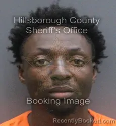 Mugshot of Rashid Kareem Oseni booked in Hillsborough County, Florida on August 28, 2026