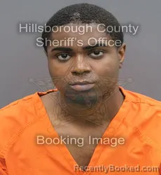 Mugshot of Pharrell Alan Jakyia Wade booked in Hillsborough County, Florida on August 28, 2026