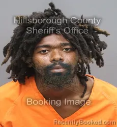 Mugshot of Brandon Barber booked in Hillsborough County, Florida on August 28, 2026