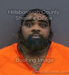 Mugshot of Daren Rashard James booked in Hillsborough County, Florida on August 28, 2026