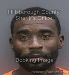 Mugshot of Tyrell Dominic Mingo booked in Hillsborough County, Florida on August 28, 2026