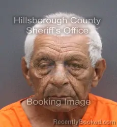 Mugshot of Luis Santos Gongora booked in Hillsborough County, Florida on August 28, 2026
