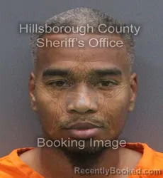 Mugshot of Mario Avante Davis booked in Hillsborough County, Florida on August 28, 2026