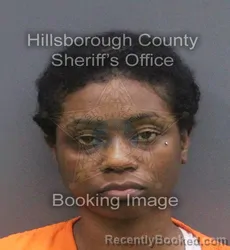 Mugshot of Lashelle Bryonne Cobham booked in Hillsborough County, Florida on August 28, 2026