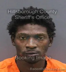 Mugshot of Travis Terrill Jr Davis booked in Hillsborough County, Florida on August 29, 2026