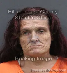 Mugshot of Billie Jean Freeman booked in Hillsborough County, Florida on August 29, 2026
