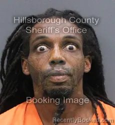 Mugshot of Christopher David Phelps booked in Hillsborough County, Florida on August 29, 2026