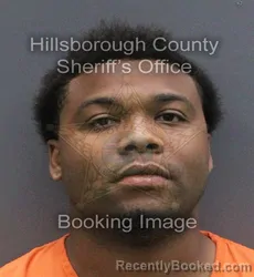 Mugshot of Jeremiah Iv Williams booked in Hillsborough County, Florida on August 29, 2026