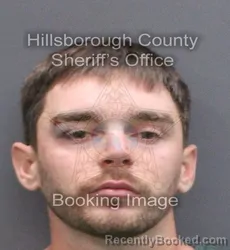 Mugshot of Hunter Joseph Towler booked in Hillsborough County, Florida on August 29, 2026