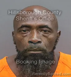 Mugshot of Olaudah Shantaz Mccoy booked in Hillsborough County, Florida on August 29, 2026