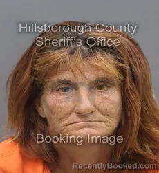 Mugshot of Honey Ann Hampton booked in Hillsborough County, Florida on August 29, 2026