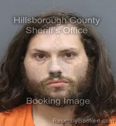 Mugshot of Edwin Nelson Ii Ortiz booked in Hillsborough County, Florida on August 29, 2026
