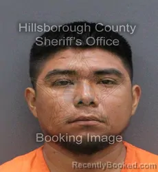 Mugshot of Bryan Pablo Acevedo booked in Hillsborough County, Florida on August 29, 2026
