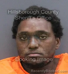 Mugshot of Jonathan Martin Greenfield booked in Hillsborough County, Florida on August 29, 2026