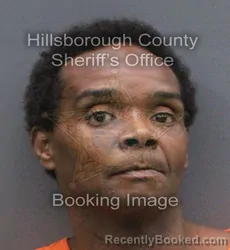 Mugshot of Leon Cintale Burwell booked in Hillsborough County, Florida on August 29, 2026
