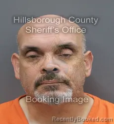 Mugshot of Elias Santos booked in Hillsborough County, Florida on August 29, 2026