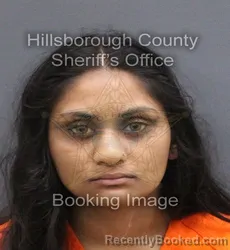 Mugshot of Patel Manish Sur booked in Hillsborough County, Florida on August 29, 2026